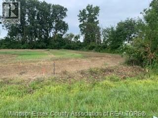 Vacant Land — V/l Middle Sideroad, Amherstburg, Ontario