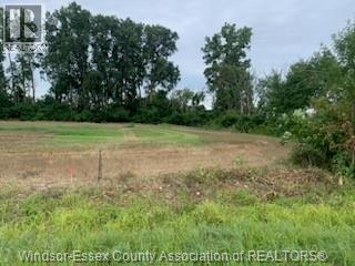 V/l Middle Sideroad, Amherstburg — photograph 3