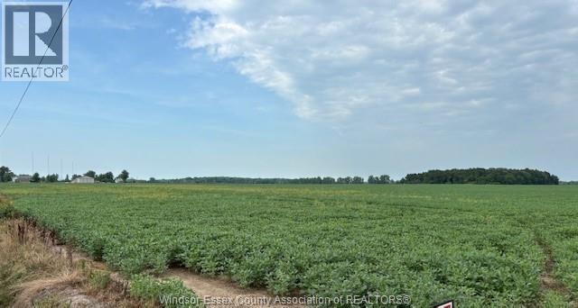 V/l Concession 4 N, Amherstburg — photograph 3