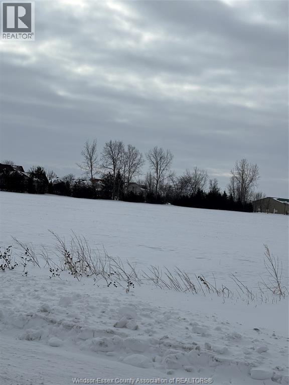 5075 North Talbot Road, Tecumseh — photograph 3