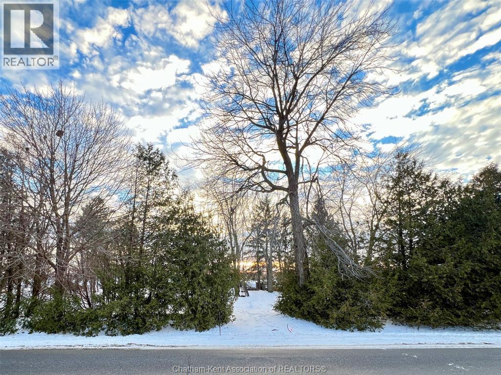 Vacant Land — 106 Erie Street, Ridgetown, Ontario