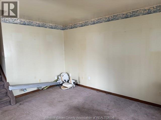 3981 Bliss, Windsor — photograph 2
