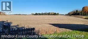V/l Concession Rd 4, Kingsville — photograph 3