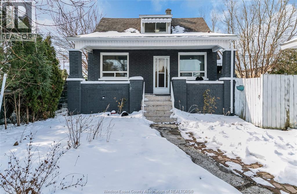 1623 Albert, Windsor — primary photograph