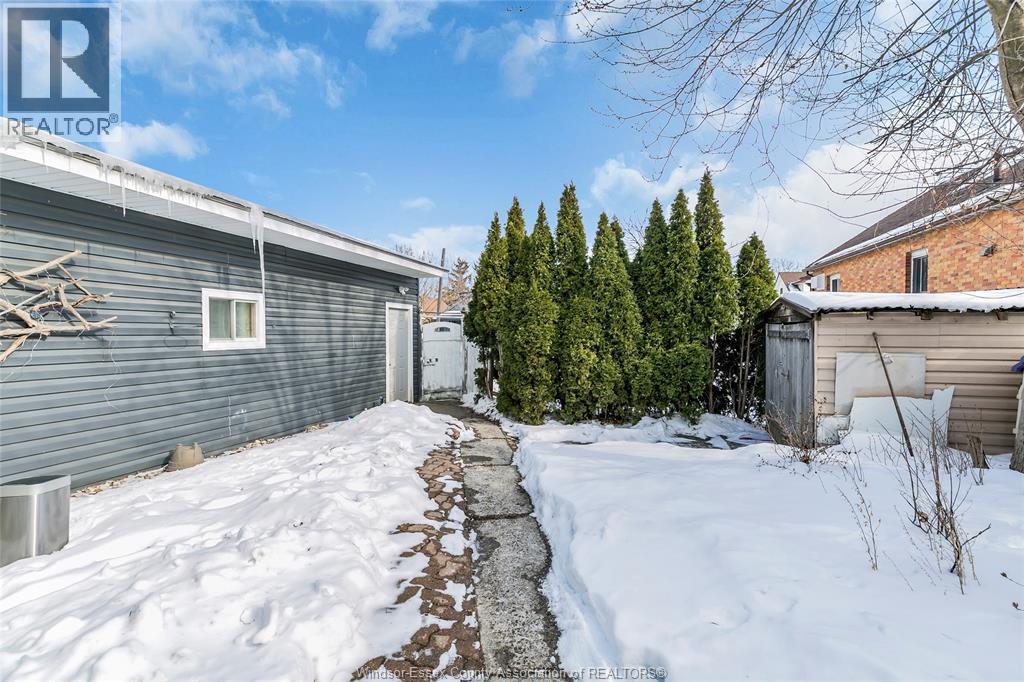1623 Albert, Windsor — photograph 3