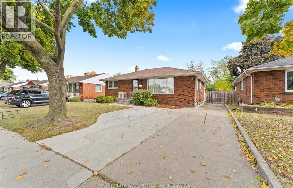 1374 Josephine #LOWER, Windsor — photograph 2