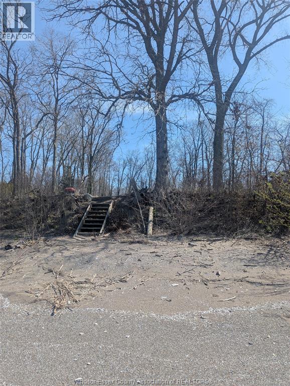 V/l Old Vine Road, Pelee Island — photograph 3