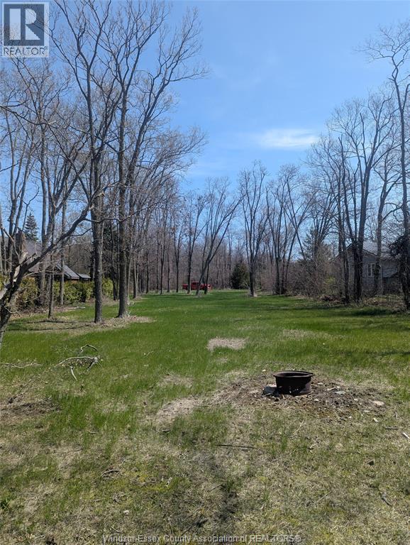 V/l Old Vine Road, Pelee Island — photograph 2
