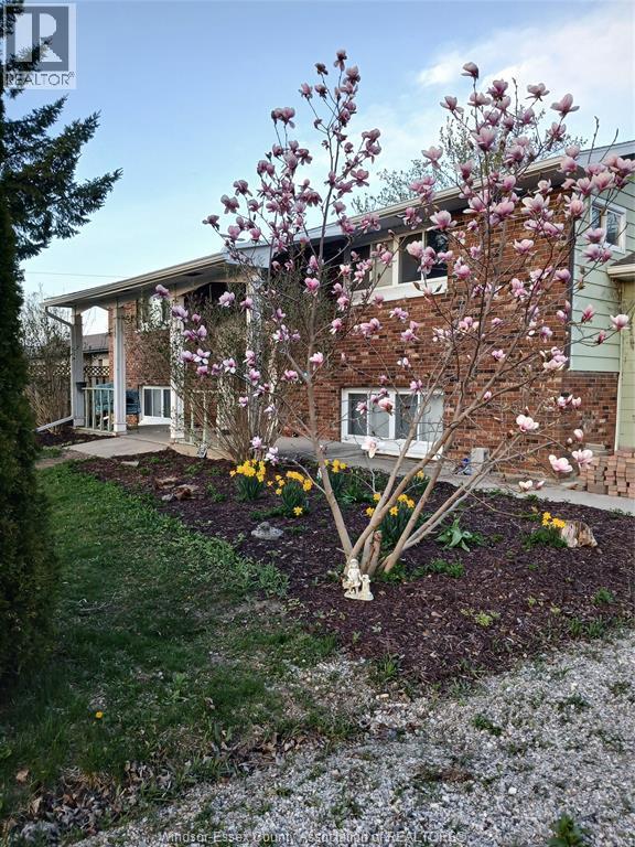 Single Family — 8 Story Street, Blenheim, Ontario