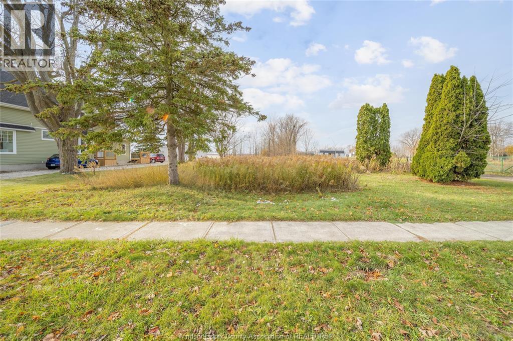 123 Erie St. S., Merlin — photograph 2
