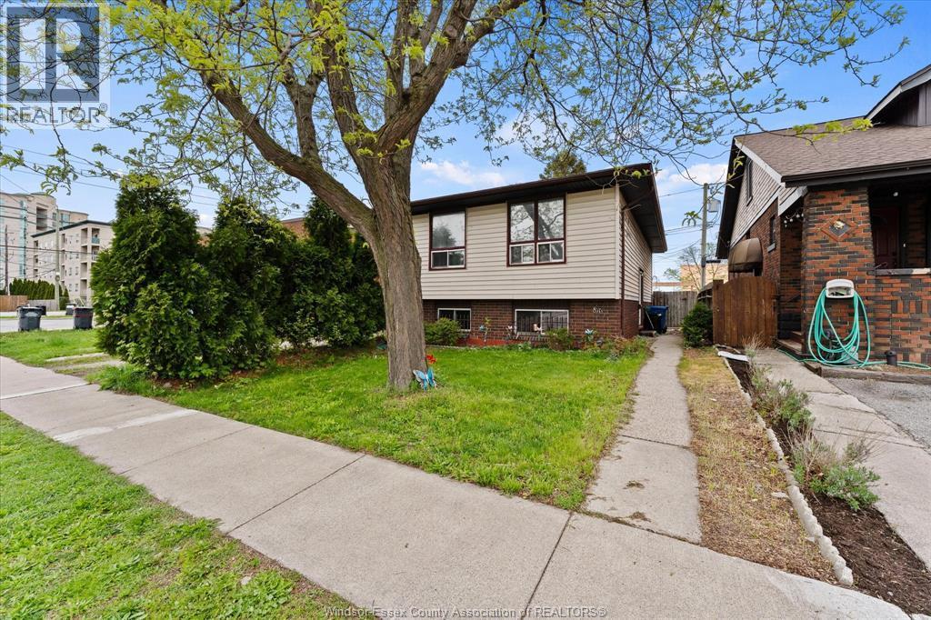 816 Dawson Road, Windsor — photograph 3