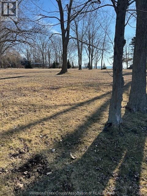 3144 Talbot Trail, Chatham-Kent — photograph 3