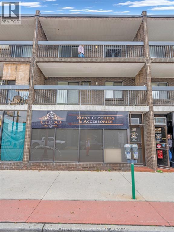 828 Erie Street, Windsor — primary photograph