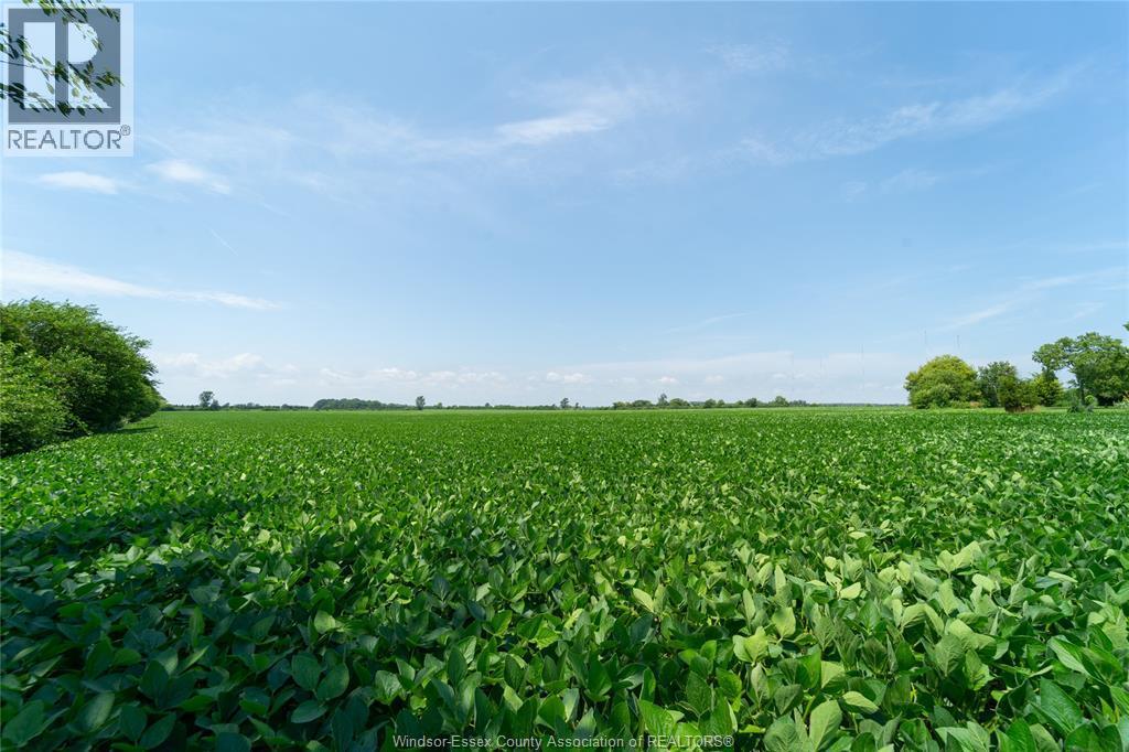 V/l County Rd 20, Amherstburg — photograph 3