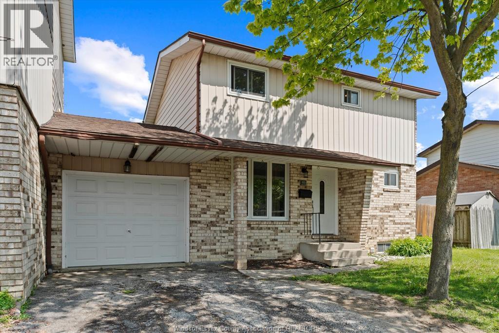 8020 Molnar, Windsor — primary photograph