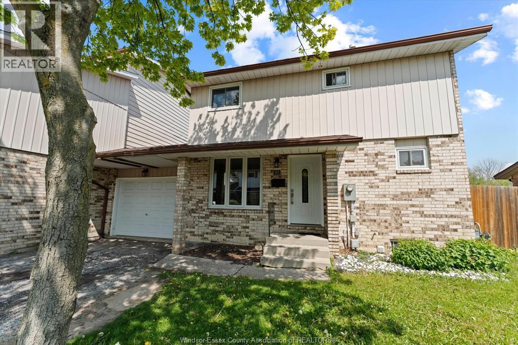 8020 Molnar, Windsor — photograph 2