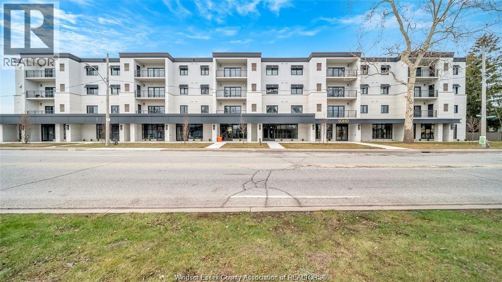 3817 Howard Ave Avenue #217, Windsor — primary photograph
