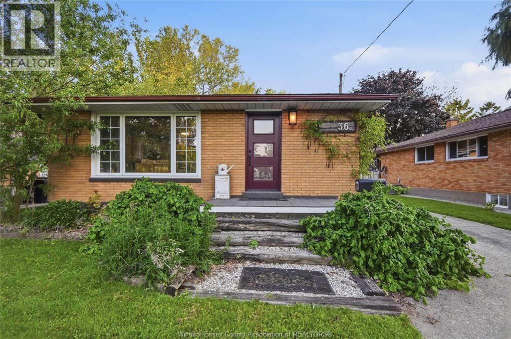 36 Woodland Avenue, Chatham — photograph 2