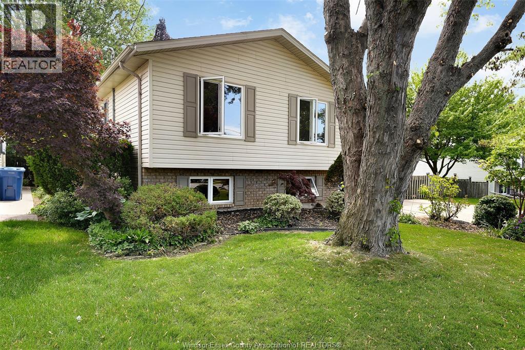 906 Bayview Avenue, Kingsville — photograph 3