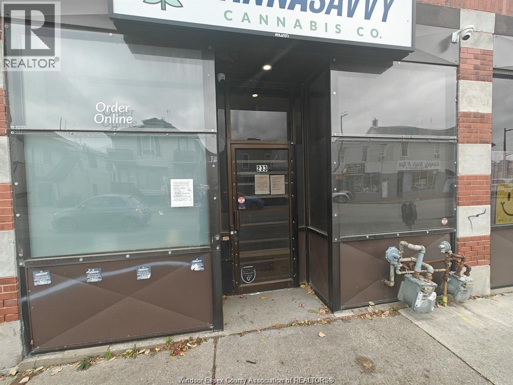 233 Wyandotte Street, Windsor — primary photograph