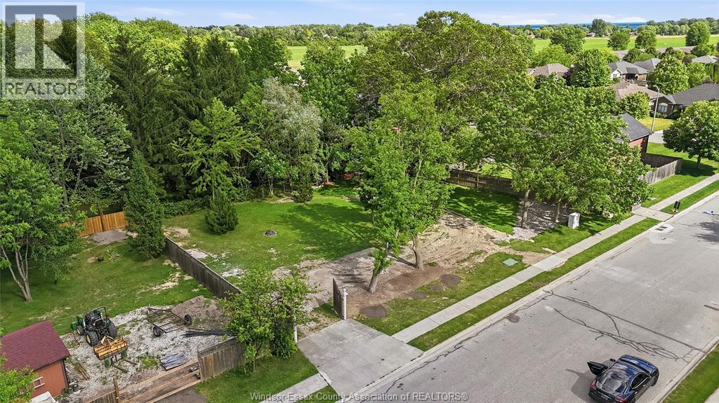 V/l Conservation Boulevard, Kingsville — photograph 2