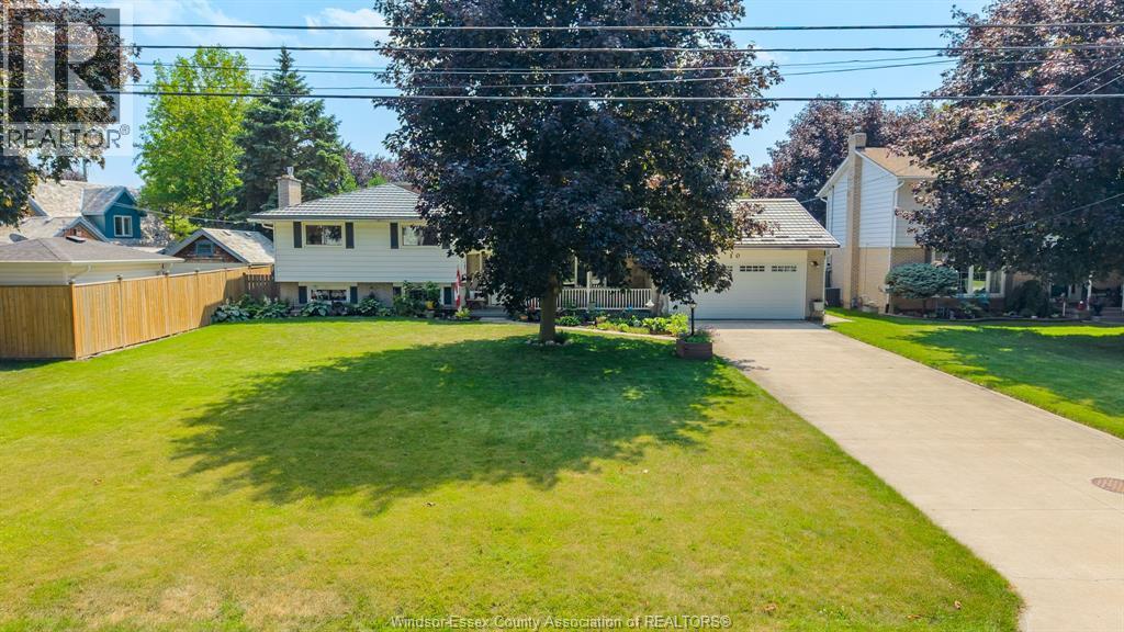 10 Phyllis Avenue, Chatham — photograph 2