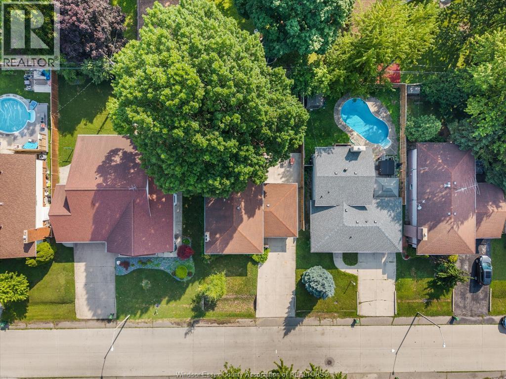 3842 Bliss, Windsor — photograph 3