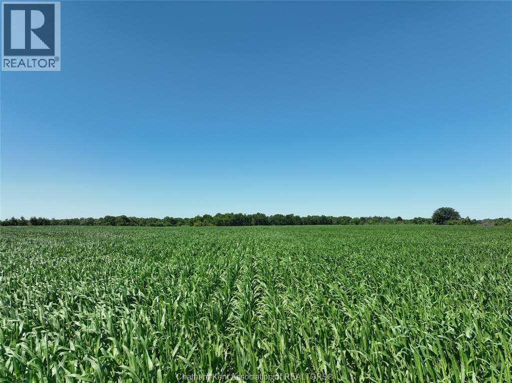 5355 Carriage Road, Middlesex Centre — photograph 3