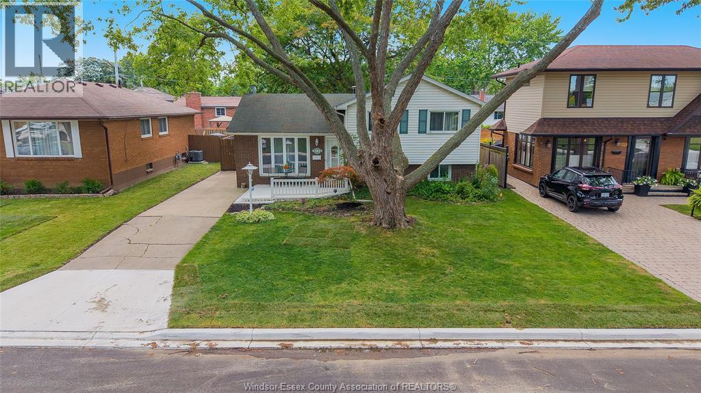 381 Carling, Windsor — primary photograph