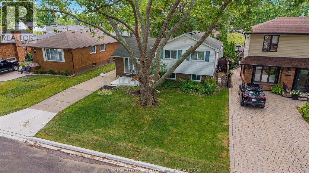 381 Carling, Windsor — photograph 2