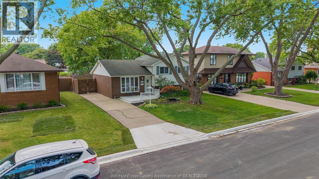 381 Carling, Windsor — photograph 3