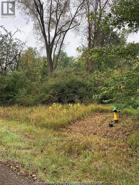 Vacant Land at V/l Brush Side Road, Essex — primary photograph