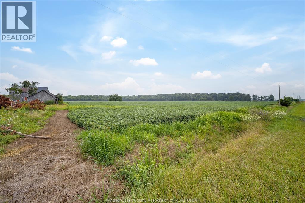 Vacant Land at 1094 Hale School Road, Dawn-Euphemia — photograph 3
