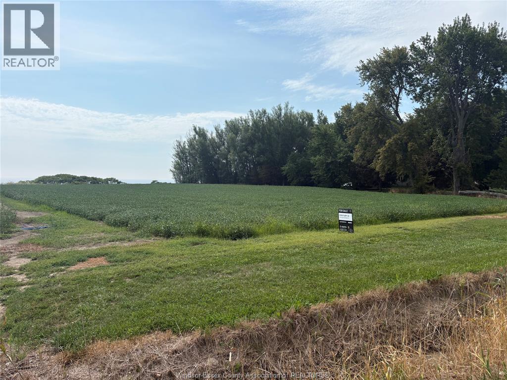 Vacant Land at 4620 Talbot Trail, Tilbury — photograph 3