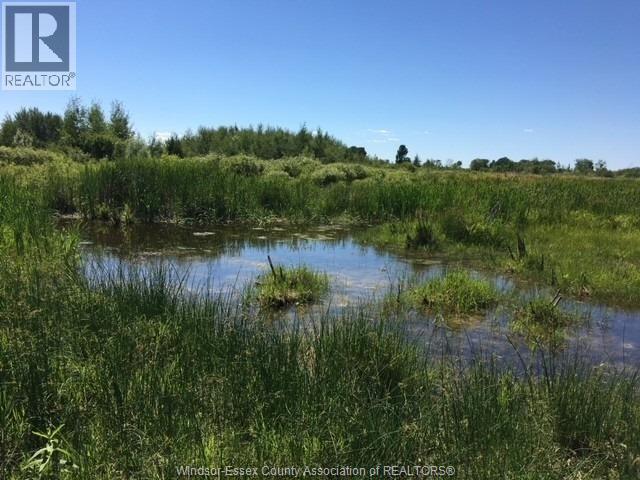 Agriculture at 1049 Sandringham Road, Kawartha Lakes — photograph 2