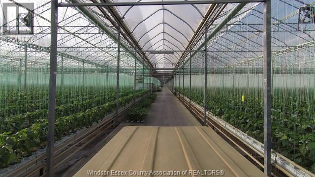 Industrial at 1475 County Rd 34, Kingsville — photograph 3