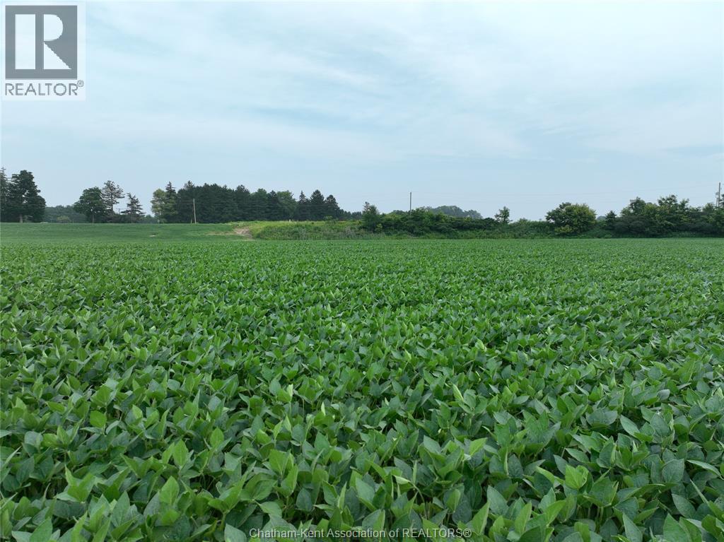 Agriculture at 0 Bedford Road, Chatham — photograph 2