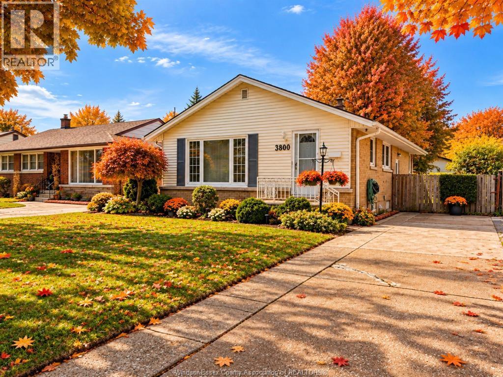 4-bedroom Single Family at 3800 Rosemount Avenue, Windsor — primary photograph